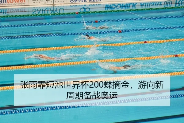 zhang-yu-fei-duan-chi-shi-jie-bei-die-zhai-jin-you-xiang-xin-zhou-qi-bei-zhan-ao-yun-2-337.jpg